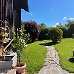 Wiesengruen - Uriger Huettenstil *