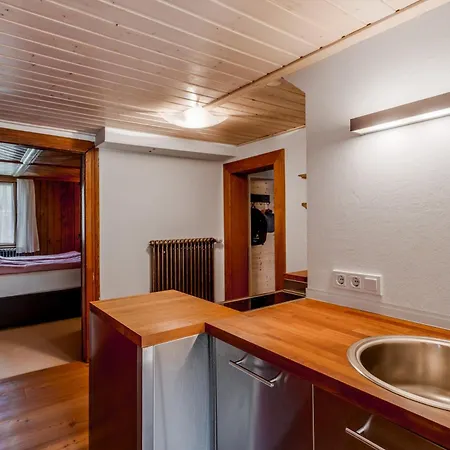 Wiesengruen - Uriger Huettenstil Apartmán